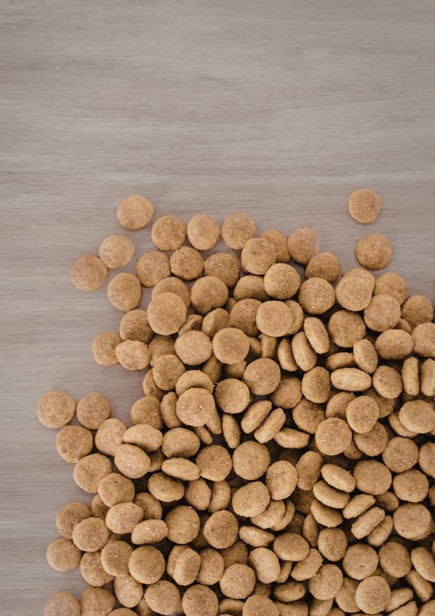 Pet Food